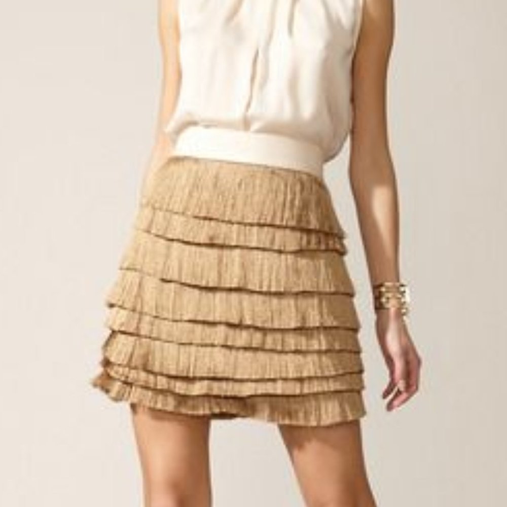 Robert Rodriguez Metalic Fringe Silk lined Skirt 8 - Picture 1 of 9